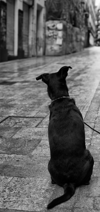 Street Photography